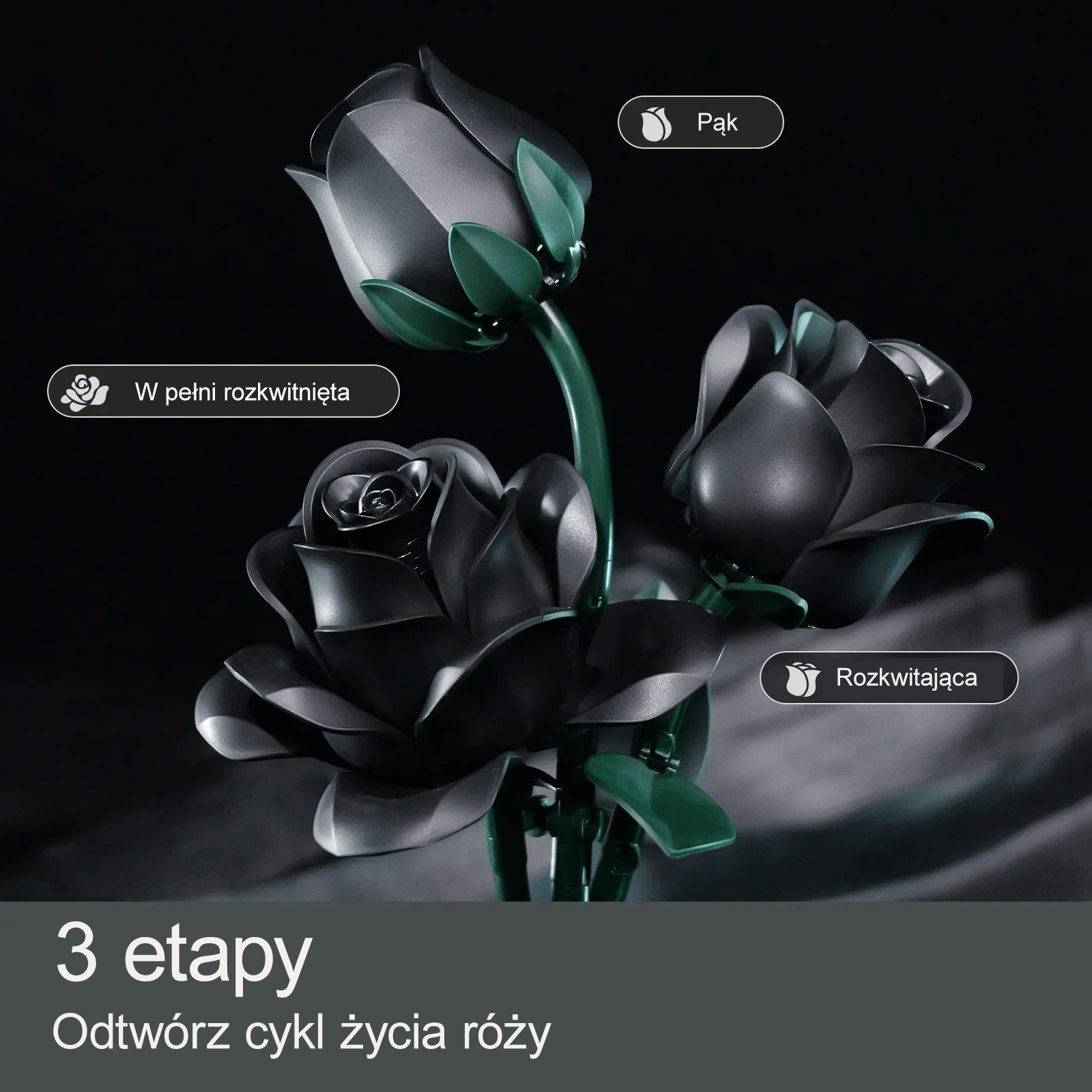 GOTHIC BLACK ROSES | 623 pieces